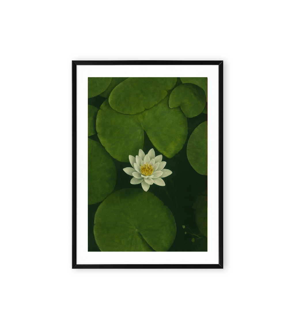 White water lily blooming among green lily pads on dark water in a minimalist nature wall art style.